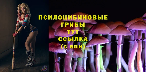 метадон Богородицк