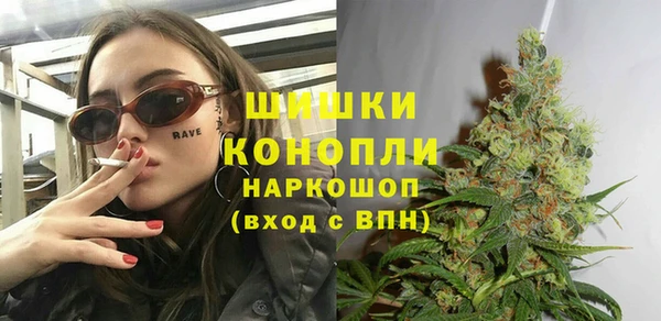 винт Богданович