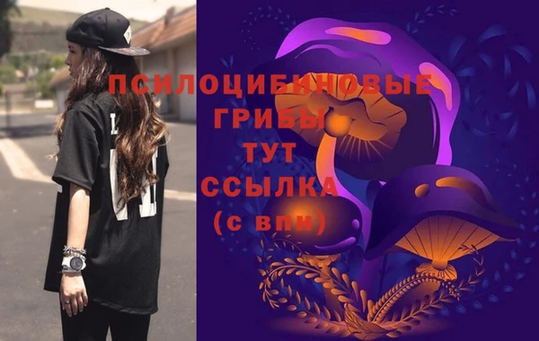 метадон Богородицк