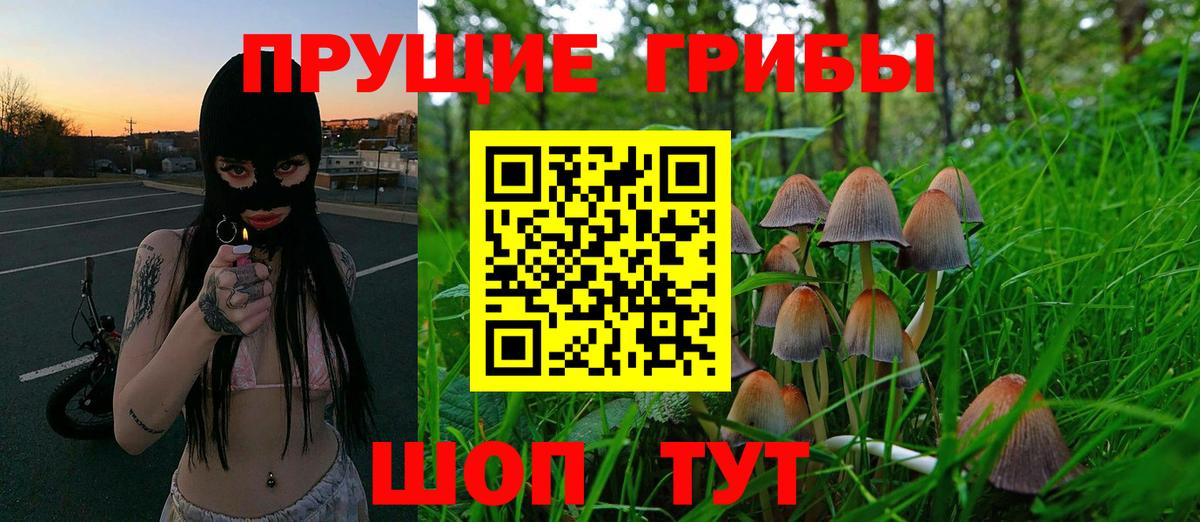 Обь  купить   Вход с VPN  Псилоцибиновые грибы Psilocybine cubensis 