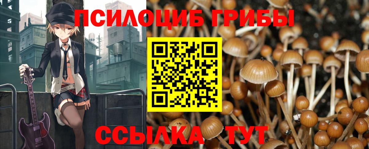 Псилоцибиновые грибы ЛСД Обь