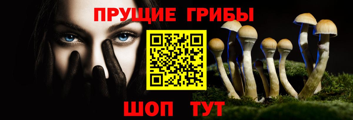 Обь  Псилоцибиновые грибы прущие грибы  дарнет шоп  Вход с VPN 