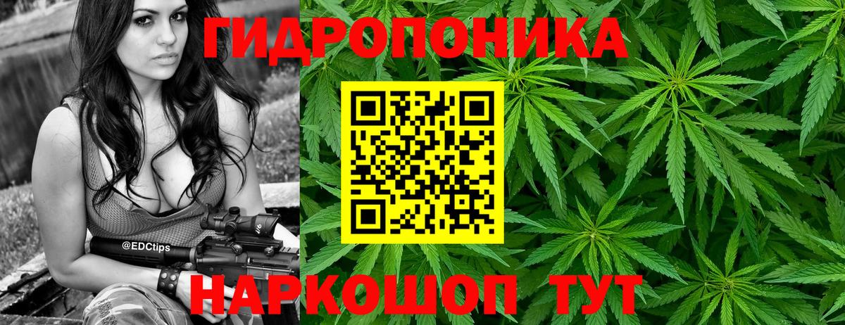 Бошки марихуана планчик Обь